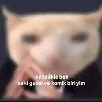 usermelin0309