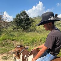 matheus.hhfr