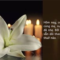 van_duong2102