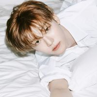 오리지널 사운드 - 앵