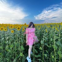 nhạc nền - Như Ý  71 🇻🇳  13 🇯🇵
