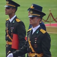 nsa.asena