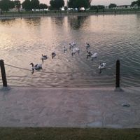 abo_waleed.1122