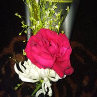 afsana4266
