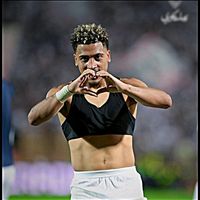 الصوت الأصلي