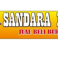 sandara_merpati