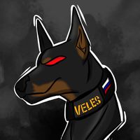 doberman_veles