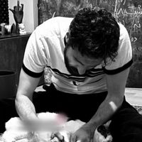 الصوت الأصلي