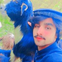 abrargurjjar888