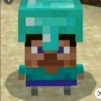 _andersont_