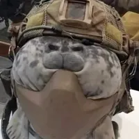 original sound - playlist959