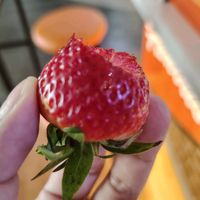 original sound - HakunaMatata