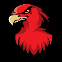 illawarra_hawks