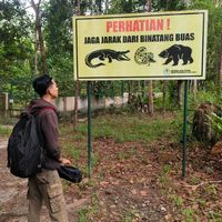 suara asli - saan🕷️🕸️