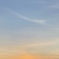 suara asli - Sitorus