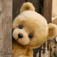 original sound - baby👼teddy bear 🐻