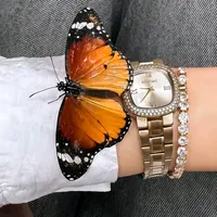 original sound - butter_fly459