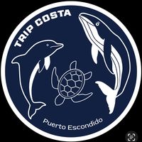 tripcostapuertoescondido