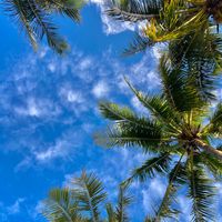 TikTok Account - mooane