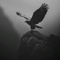 sy_21l