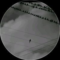 centralcee1221