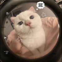 nhạc nền - mhieu.huynh 💫
