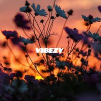 .vibezy_