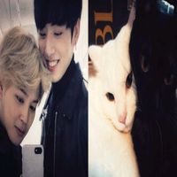 jikook_2019