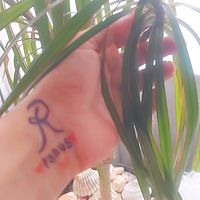 rasol8282