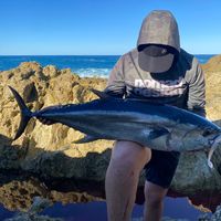mattfisho