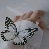 leila3695