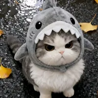 original sound - akk232023