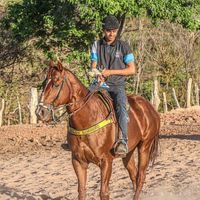 armando.vaqueiro6