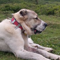 niyetin_kaderin_olsun52