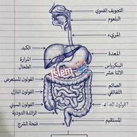 .muhammed3561