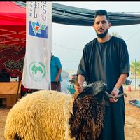 amhamedtresh