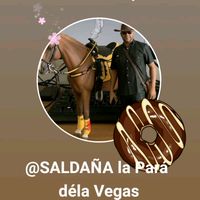 user7080512028762leo1