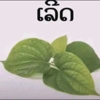 เสียงต้นฉบับ - เส  ือก