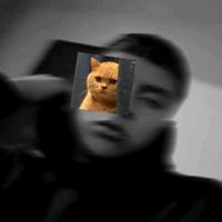 _chiquilini_