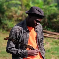 original sound - papijulo16