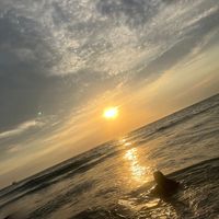 eloisacc23