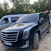 mamedov.2025