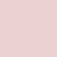 29.__nyan