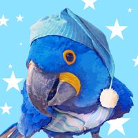 original sound - Nox