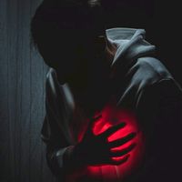 shahbazjtr