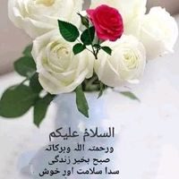 shawali190