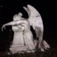 g0ldwing_angel