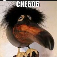 СлАйМ