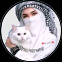 mv___b67