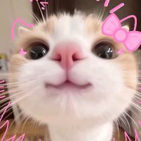 suara asli - kesaulyaaapride